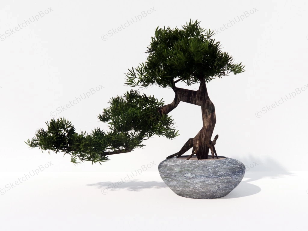 Yew Plum Pine Bonsai Tree sketchup model preview - SketchupBox