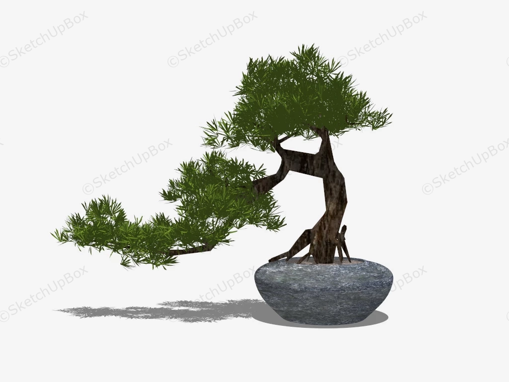 Yew Plum Pine Bonsai Tree sketchup model preview - SketchupBox
