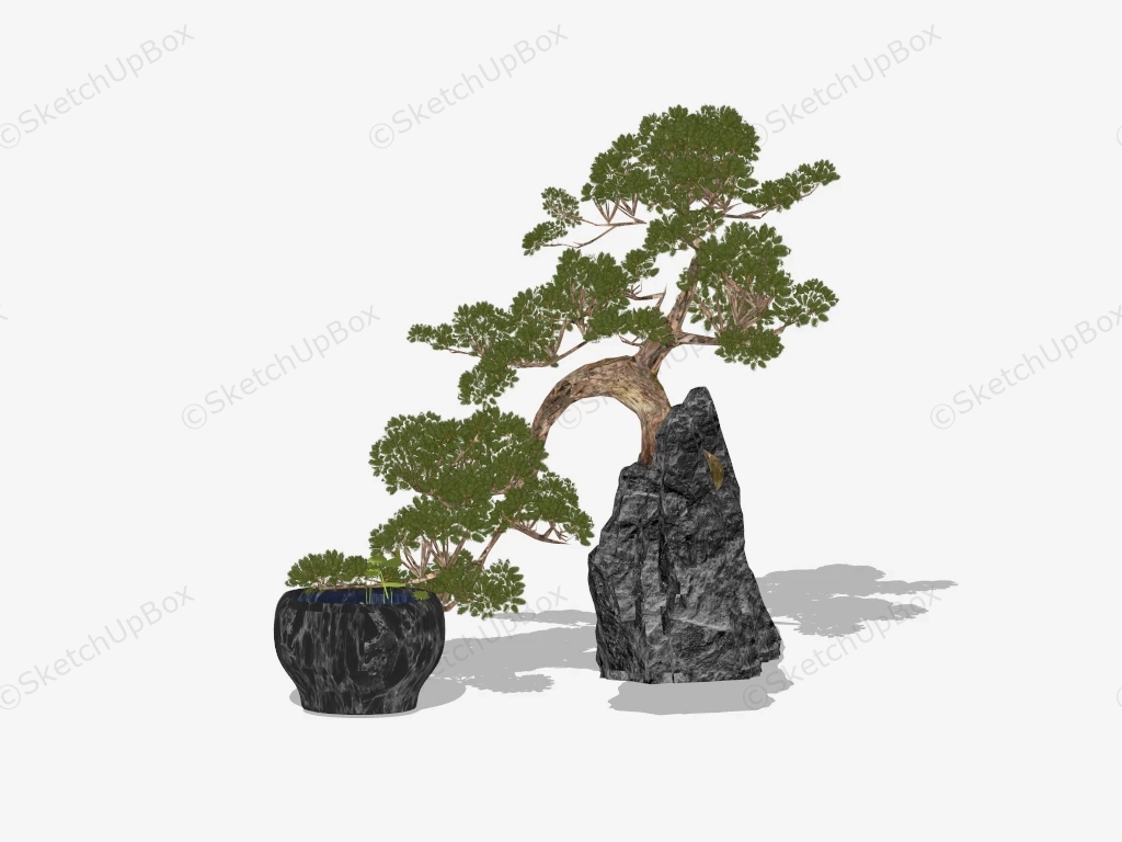 Rock Bonsai Tree sketchup model preview - SketchupBox