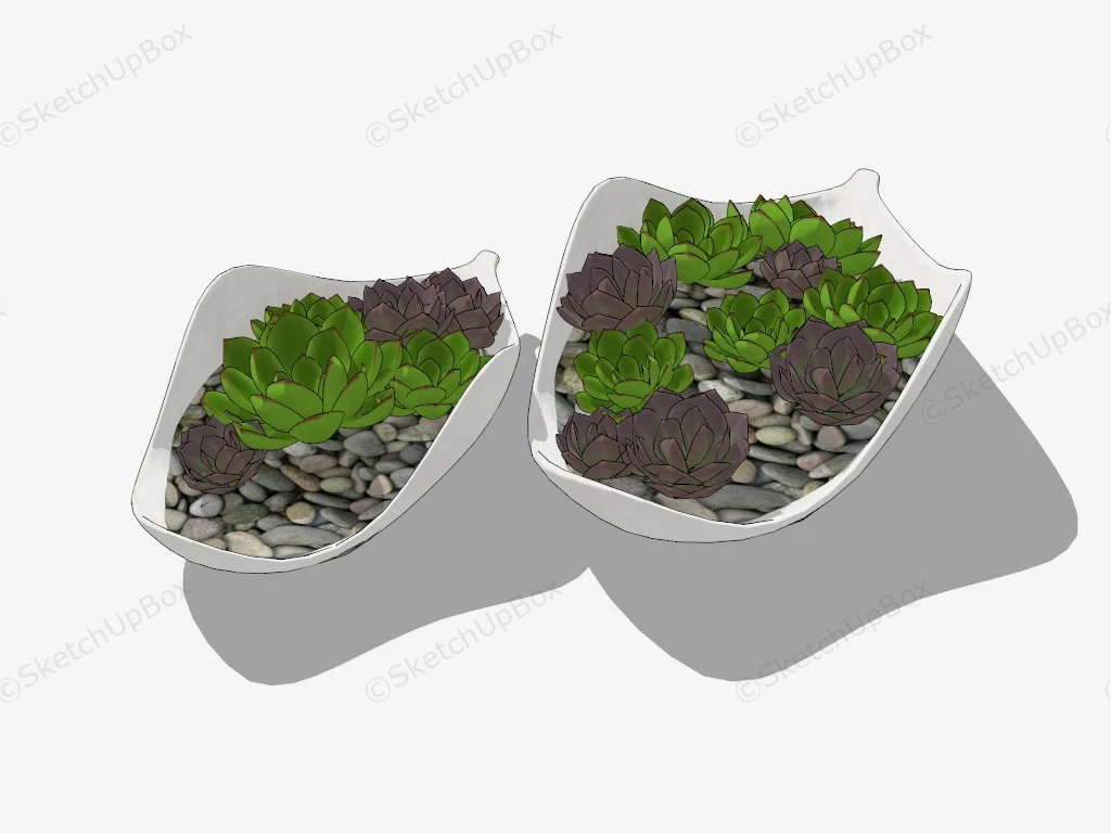 Succulent Dish Garden Idea sketchup model preview - SketchupBox