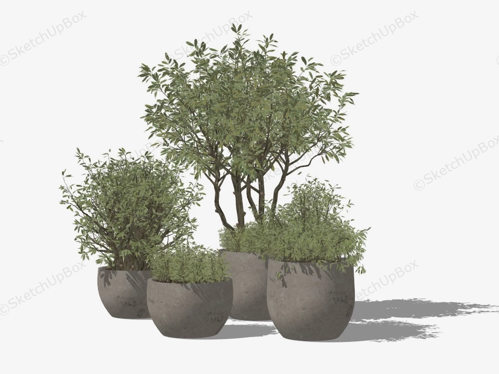 Large Concrete Tree Planters sketchup model preview - SketchupBox