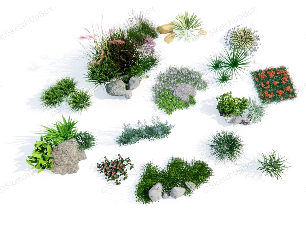 Ornamental Grasses Landscaping sketchup model preview - SketchupBox