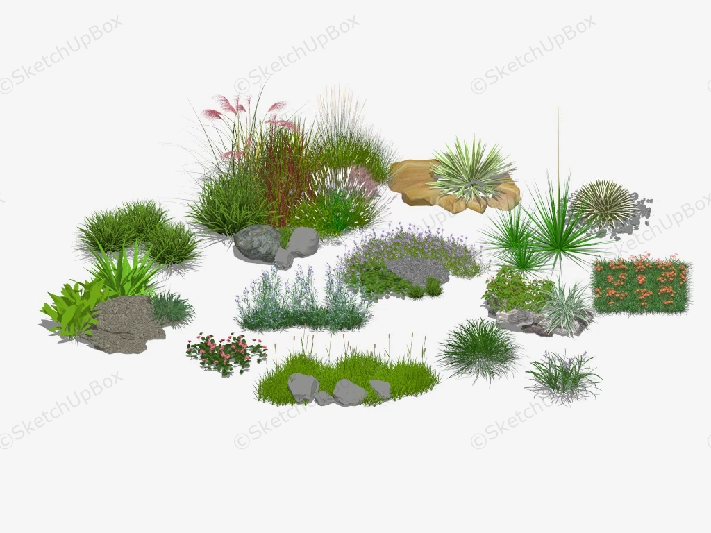 Ornamental Grasses Landscaping sketchup model preview - SketchupBox