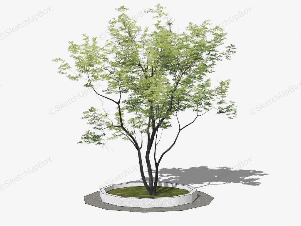 Simple Tree Surround sketchup model preview - SketchupBox