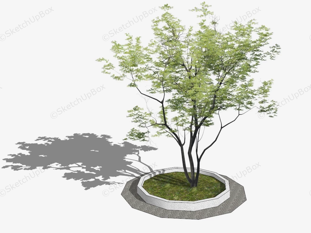 Simple Tree Surround sketchup model preview - SketchupBox