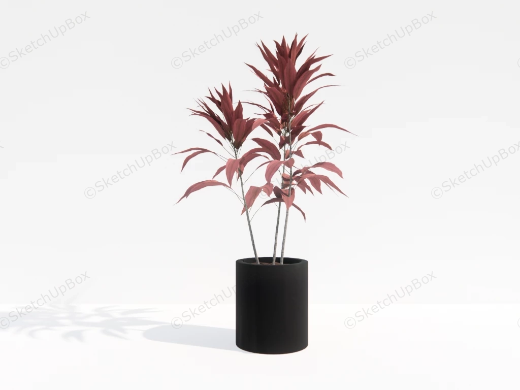 Potted Red Cordyline Fruticosa sketchup model preview - SketchupBox