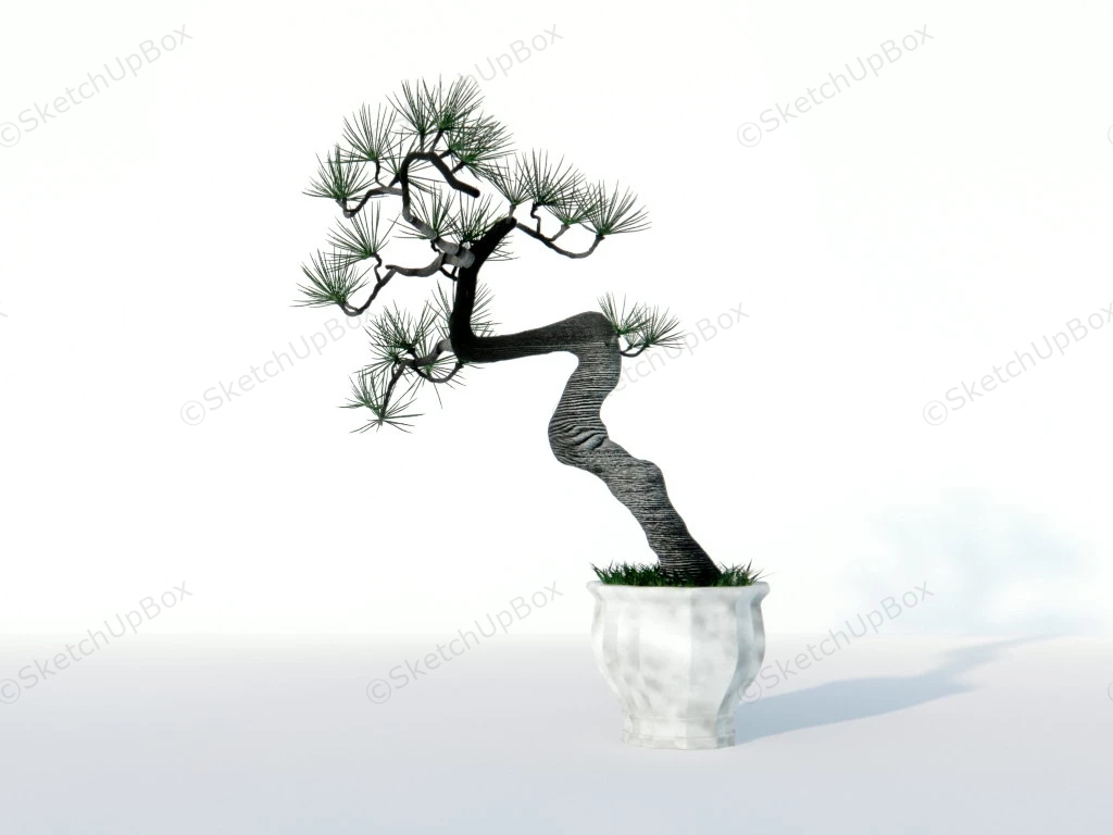 Bonsai Pine Tree sketchup model preview - SketchupBox