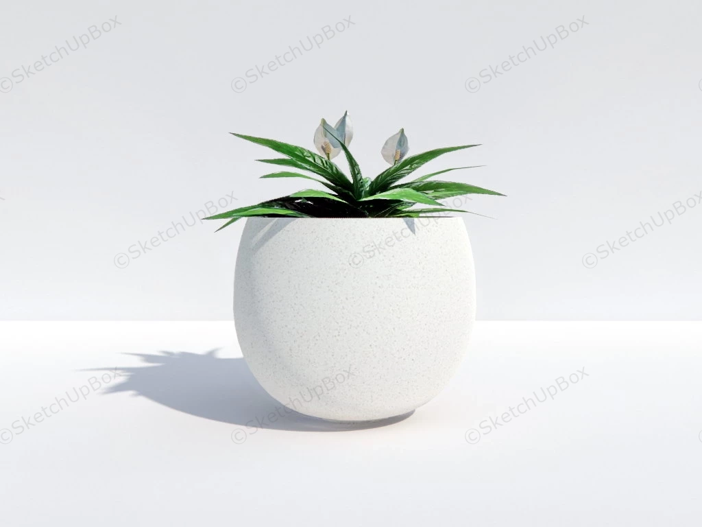 Potted Peace Lily Plant sketchup model preview - SketchupBox