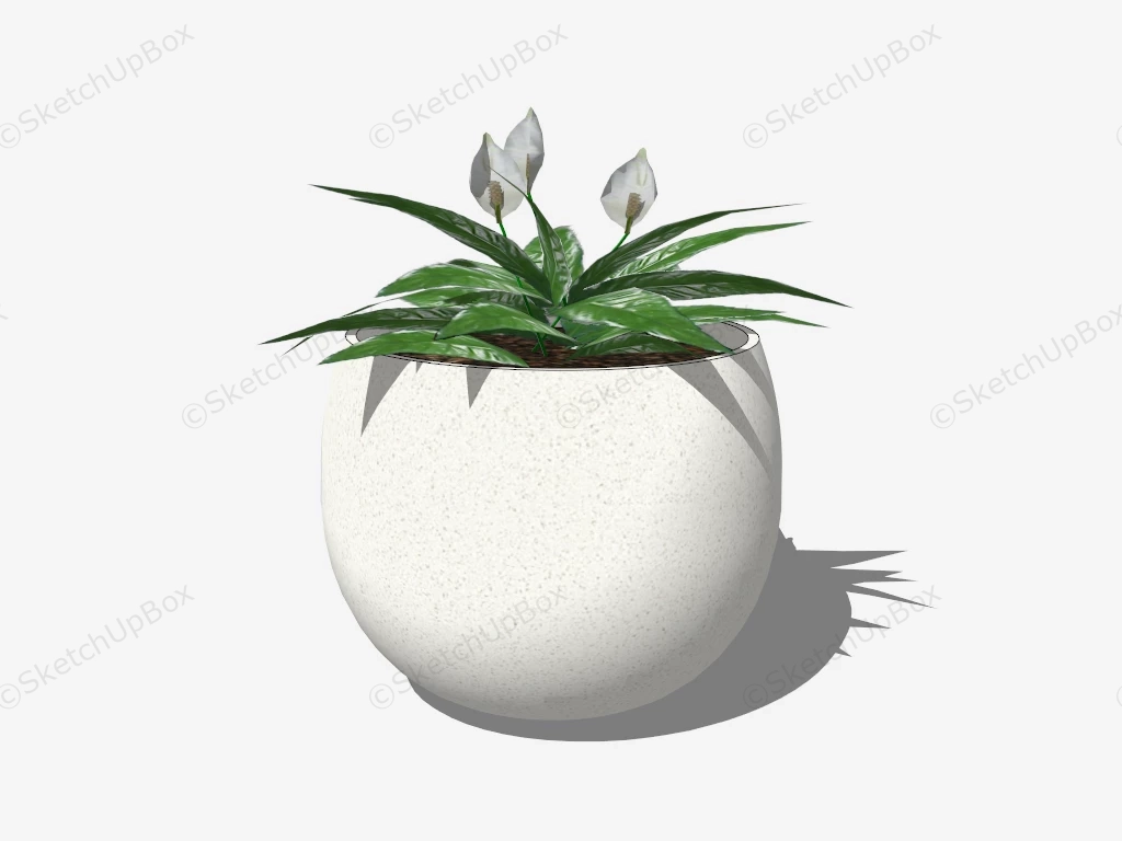 Potted Peace Lily Plant sketchup model preview - SketchupBox