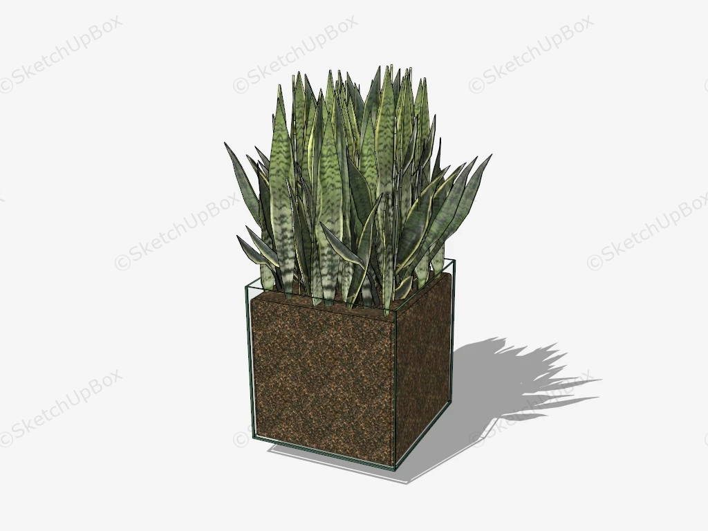 Potted Snake Plant sketchup model preview - SketchupBox