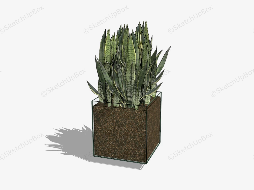 Potted Snake Plant sketchup model preview - SketchupBox