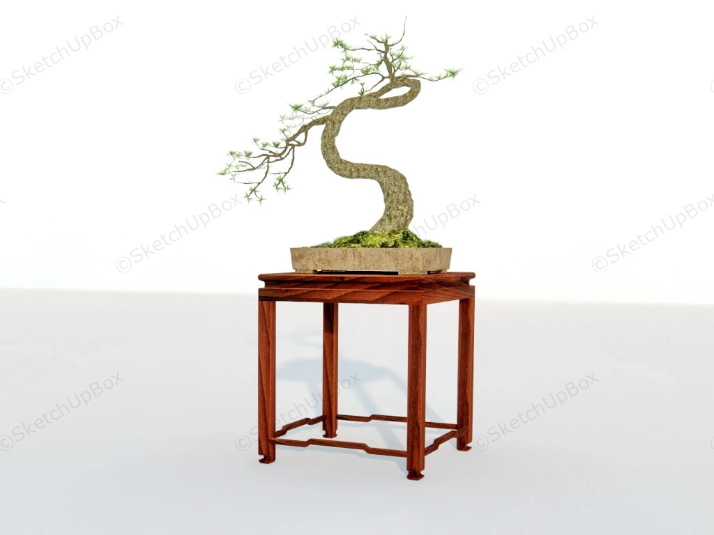 Bonsai On Stand sketchup model preview - SketchupBox