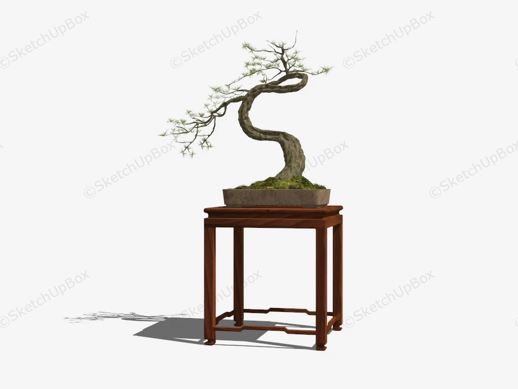 Bonsai On Stand sketchup model preview - SketchupBox