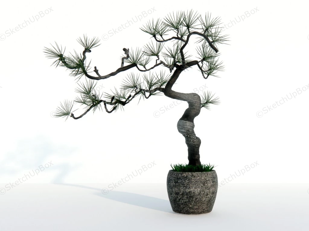 Old Pine Bonsai Tree sketchup model preview - SketchupBox