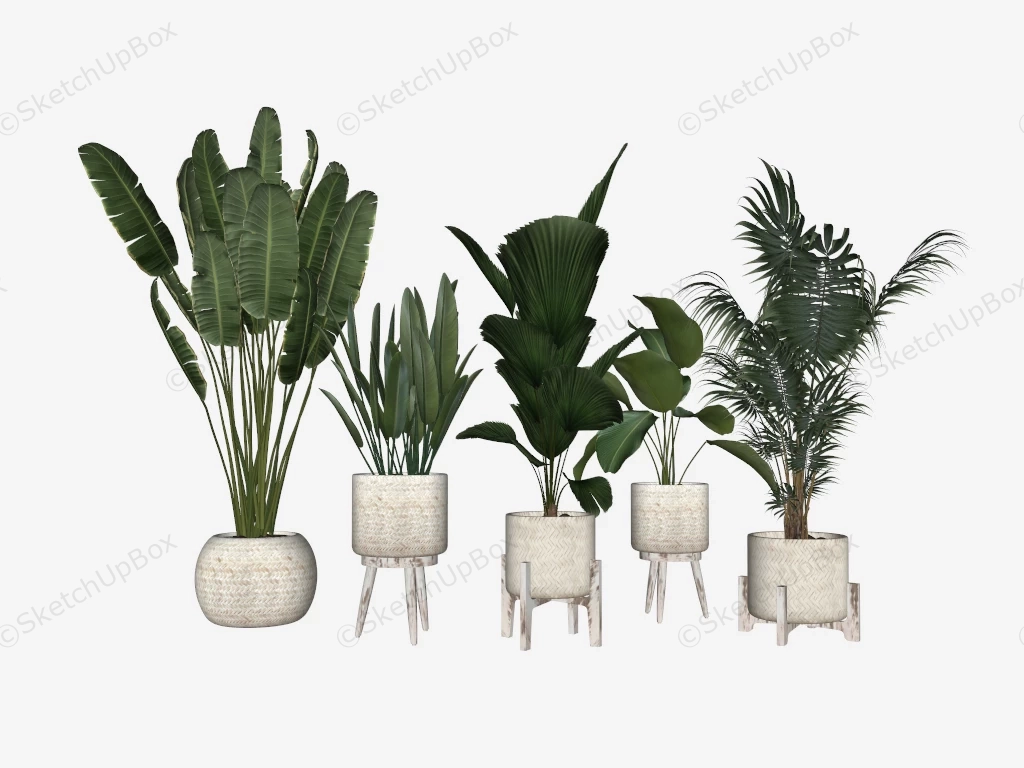 Tropical Houseplant With Stand sketchup model preview - SketchupBox