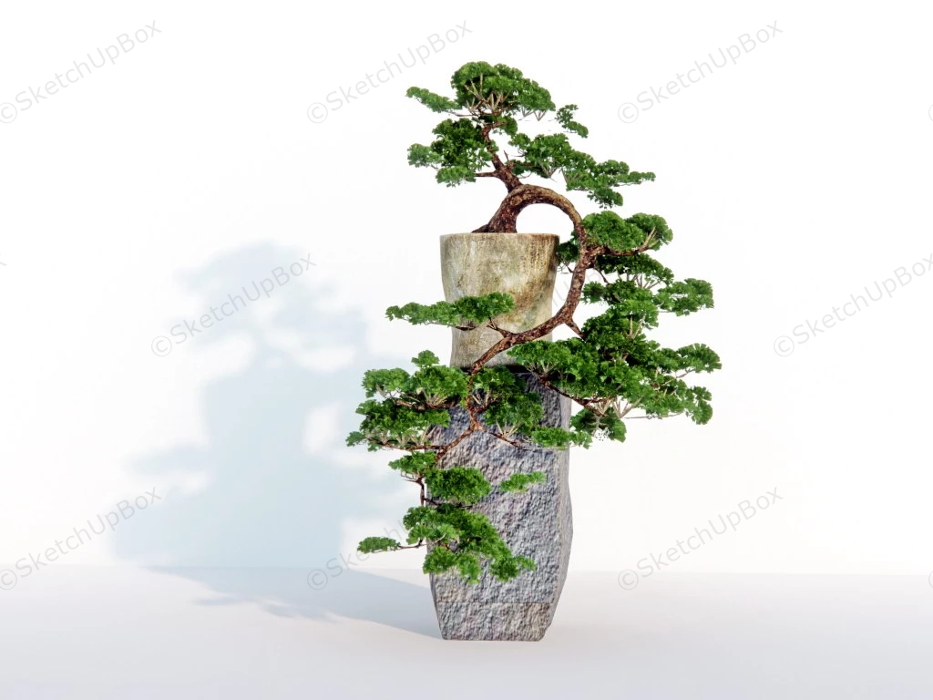 Bonsai Tree On Rock Stand sketchup model preview - SketchupBox