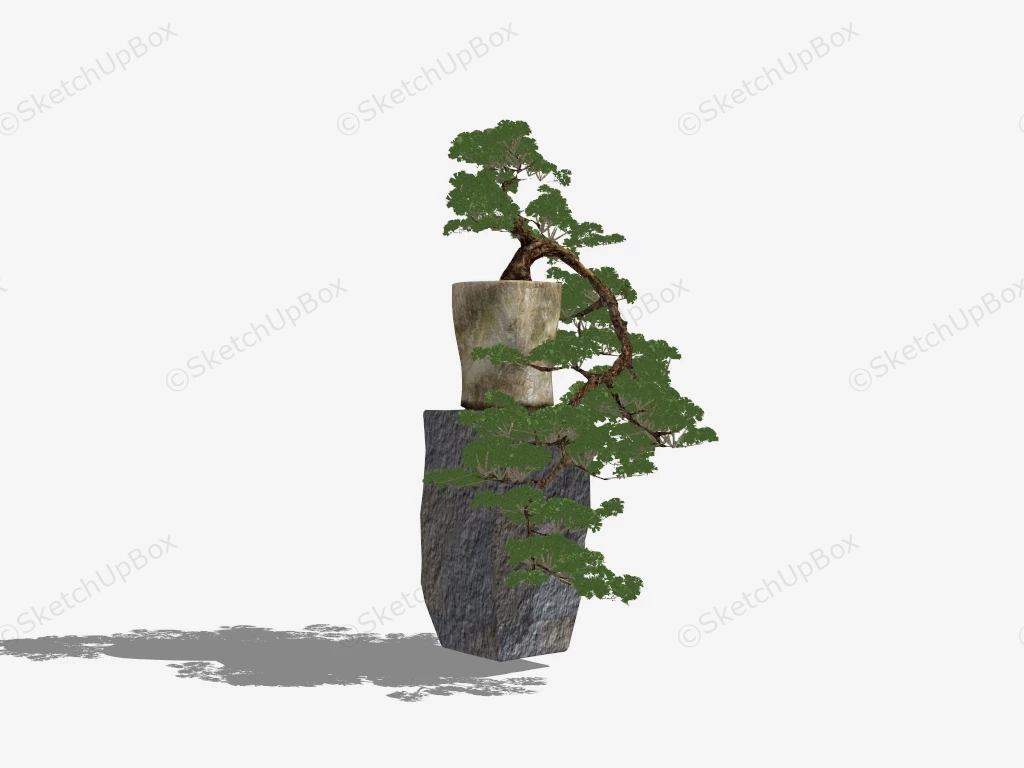 Bonsai Tree On Rock Stand sketchup model preview - SketchupBox