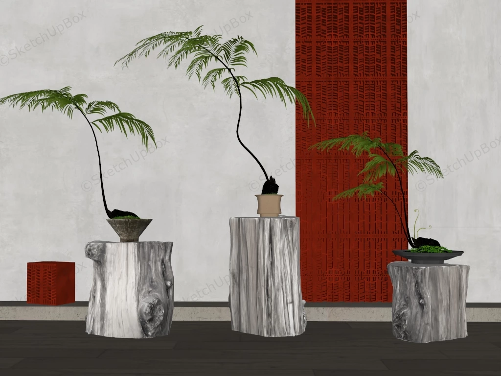 Indoor Fern Bonsai Tree sketchup model preview - SketchupBox