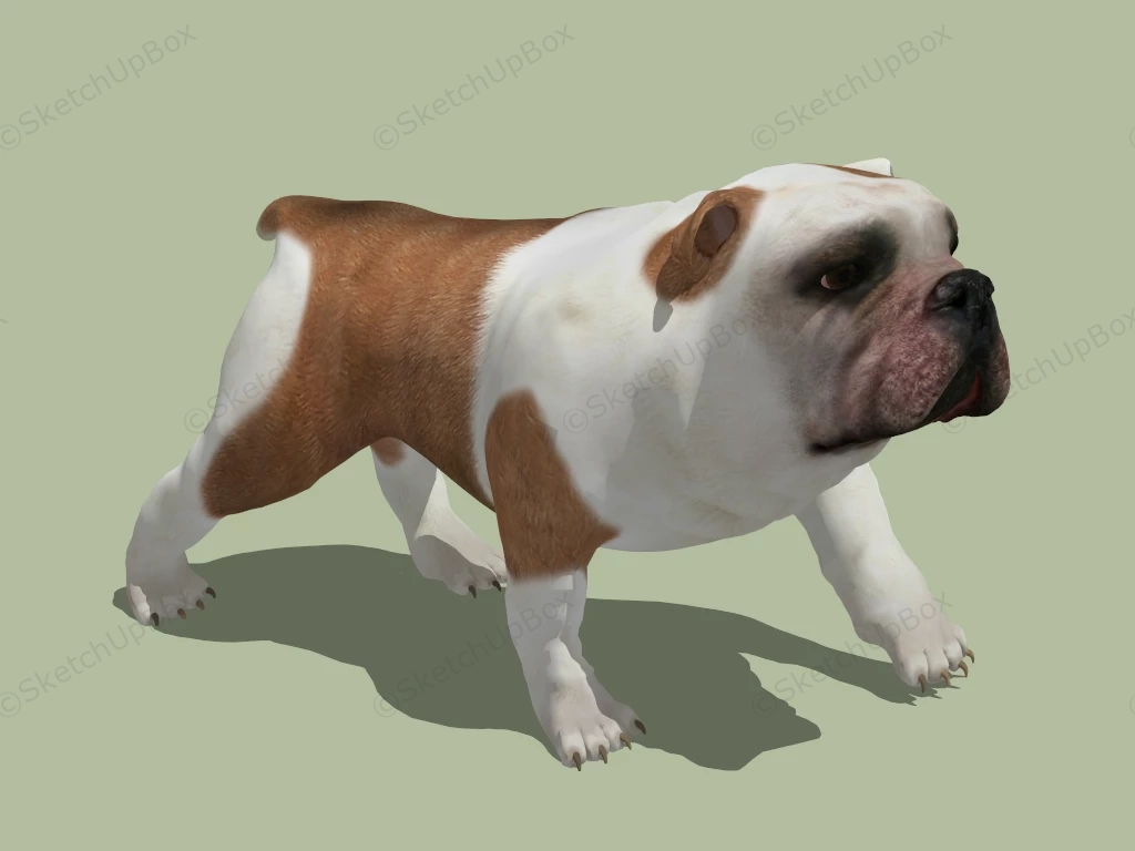 Cute Pug Puppy sketchup model preview - SketchupBox