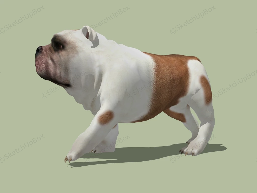 Cute Pug Puppy sketchup model preview - SketchupBox