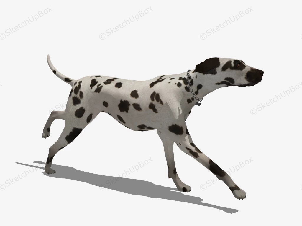 Dalmatian Dog sketchup model preview - SketchupBox