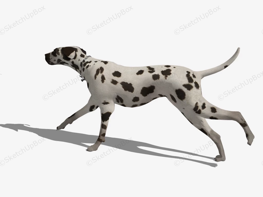 Dalmatian Dog sketchup model preview - SketchupBox