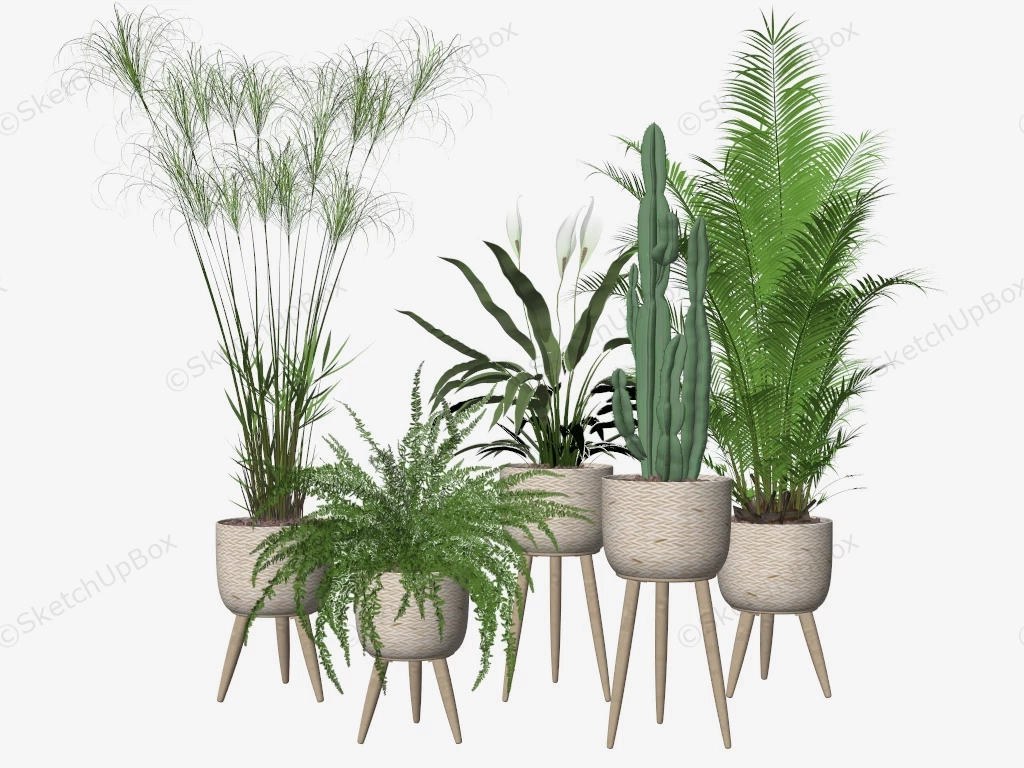 Indoor Planter With Stand sketchup model preview - SketchupBox