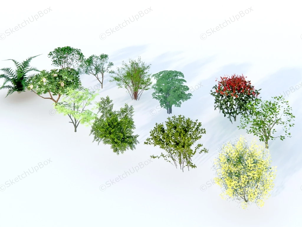 Bushes And Shrubs sketchup model preview - SketchupBox