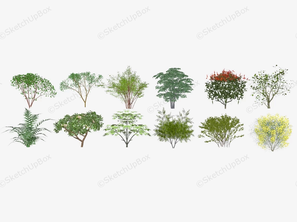 Bushes And Shrubs sketchup model preview - SketchupBox