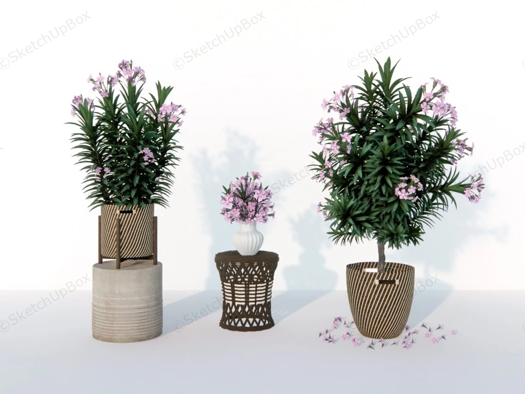 Potted Flower Plants sketchup model preview - SketchupBox