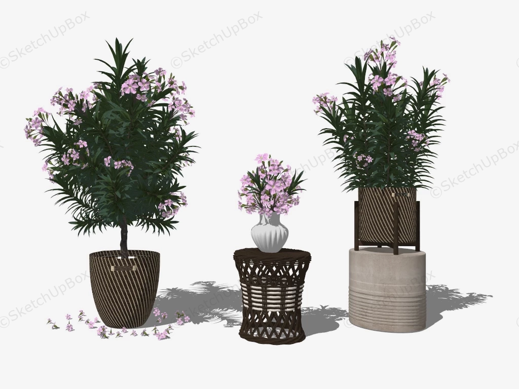 Potted Flower Plants sketchup model preview - SketchupBox