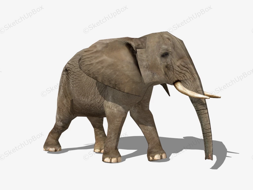 Asian Elephant sketchup model preview - SketchupBox