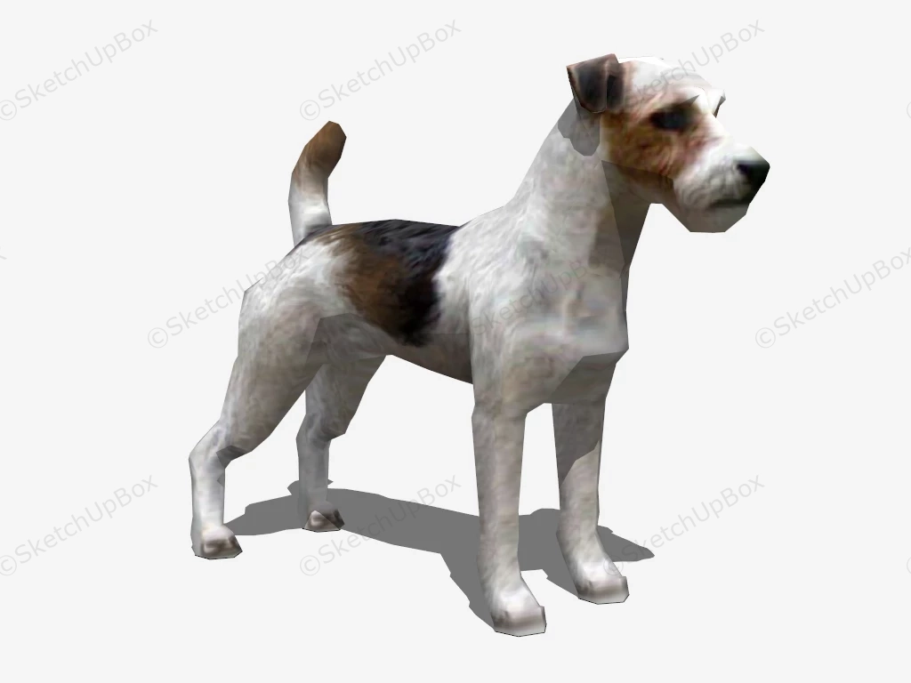 Jack Russell Terrier sketchup model preview - SketchupBox