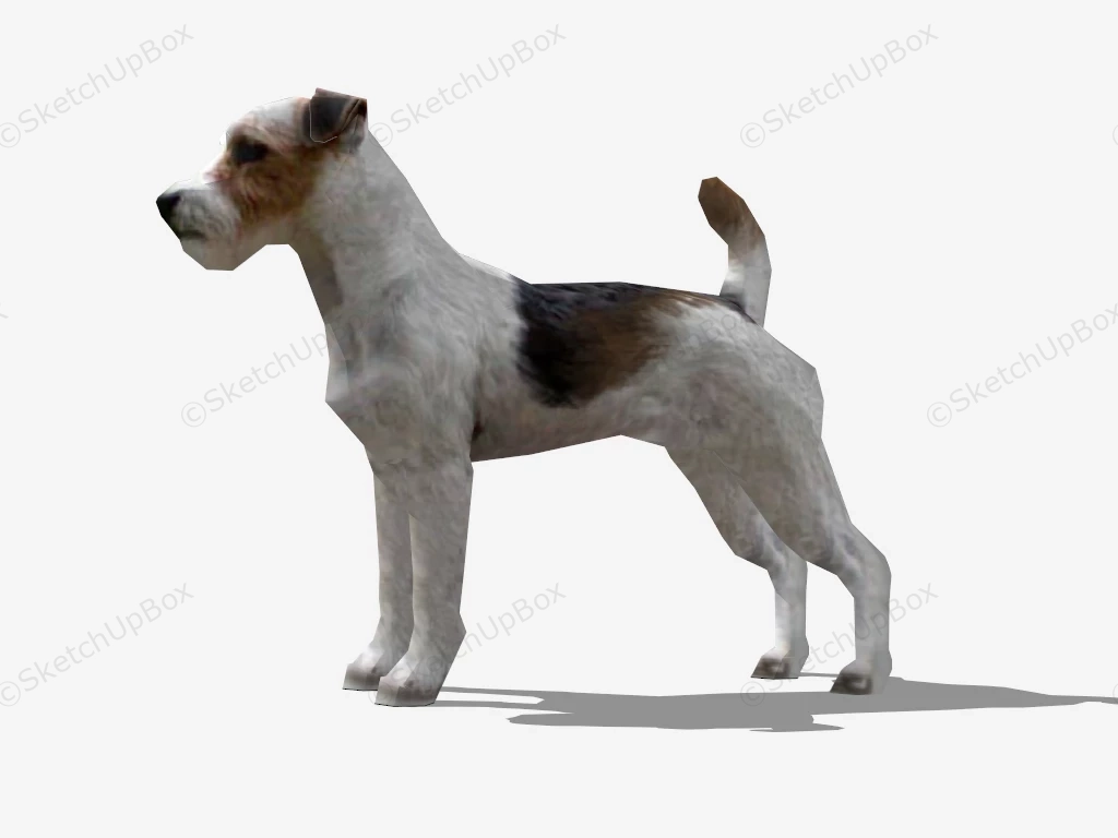 Jack Russell Terrier sketchup model preview - SketchupBox