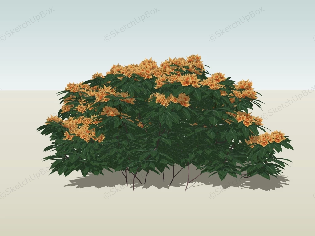 Yellow Ixora Plant sketchup model preview - SketchupBox