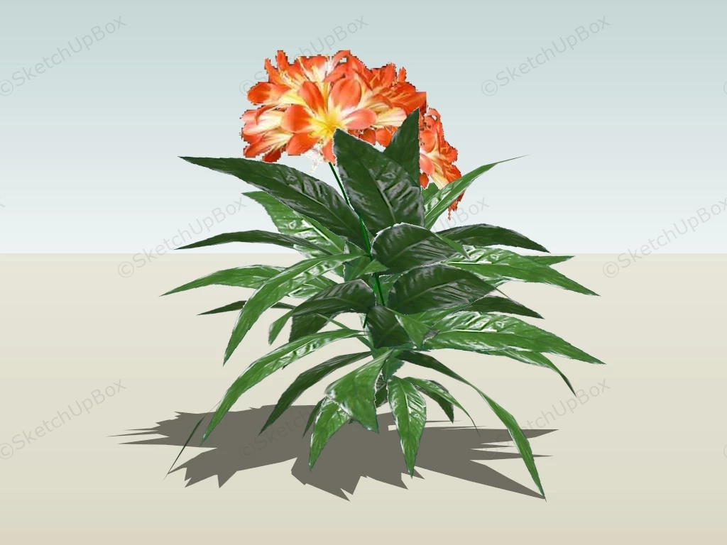 Orange Clivia Flowering Plant sketchup model preview - SketchupBox