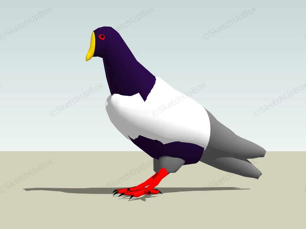 Rock Dove Bird sketchup model preview - SketchupBox