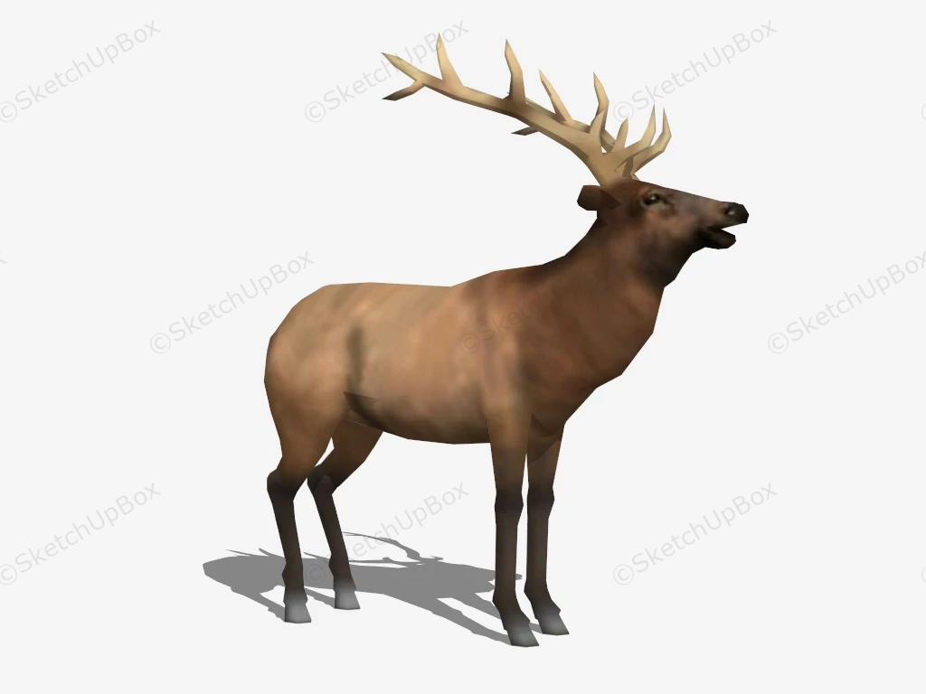 Wild Reindeer sketchup model preview - SketchupBox