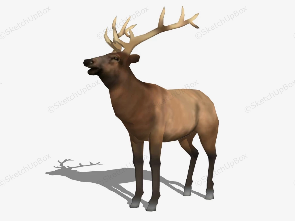 Wild Reindeer sketchup model preview - SketchupBox