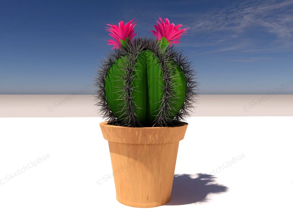 Potted Flowering Cactus sketchup model preview - SketchupBox