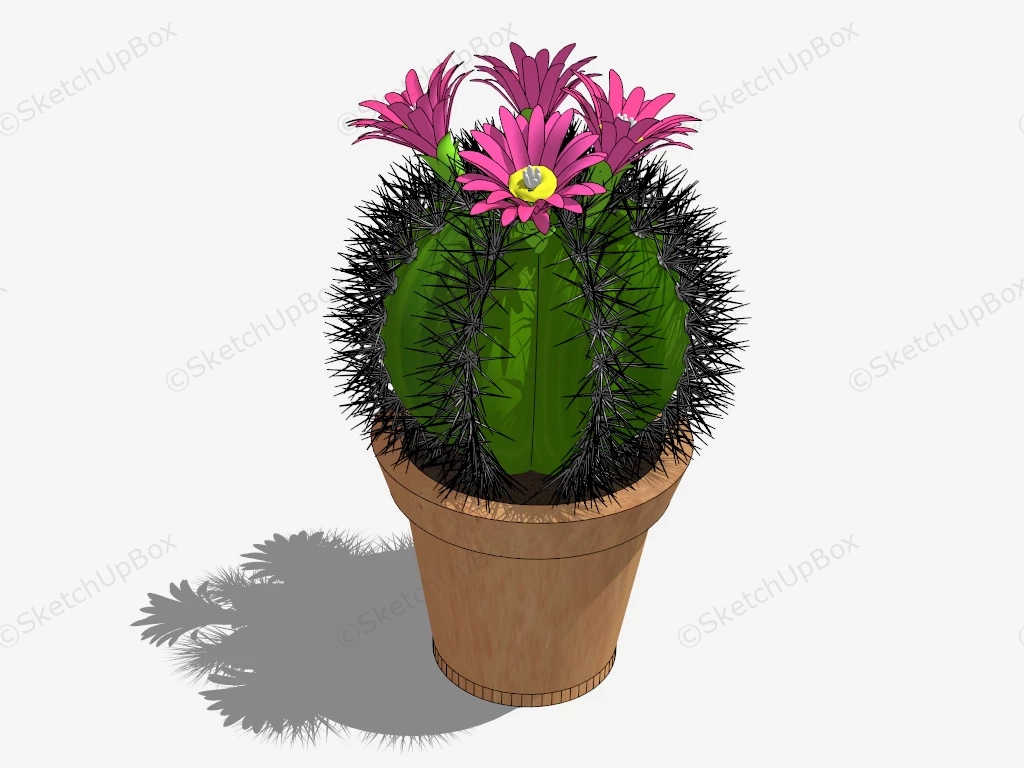 Potted Flowering Cactus sketchup model preview - SketchupBox