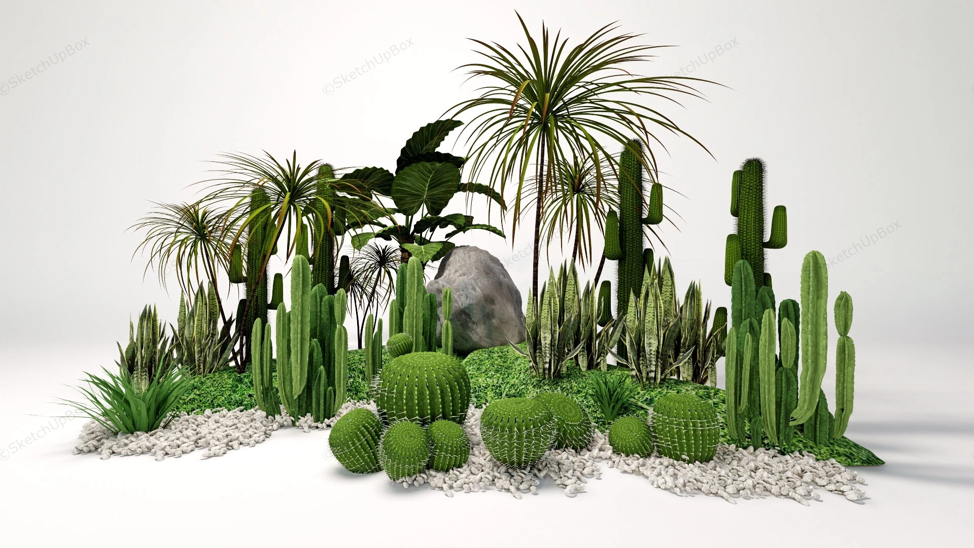 Tropical Cactus Garden sketchup model preview - SketchupBox