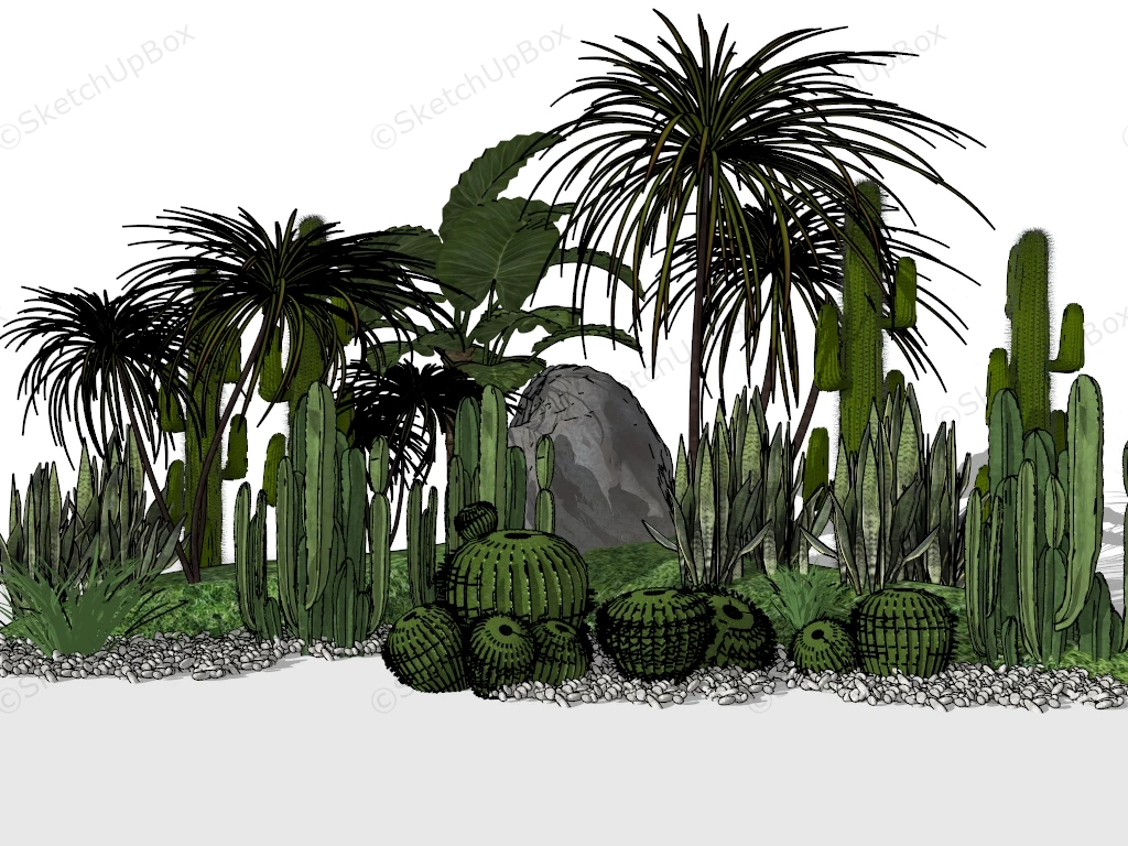 Tropical Cactus Garden sketchup model preview - SketchupBox