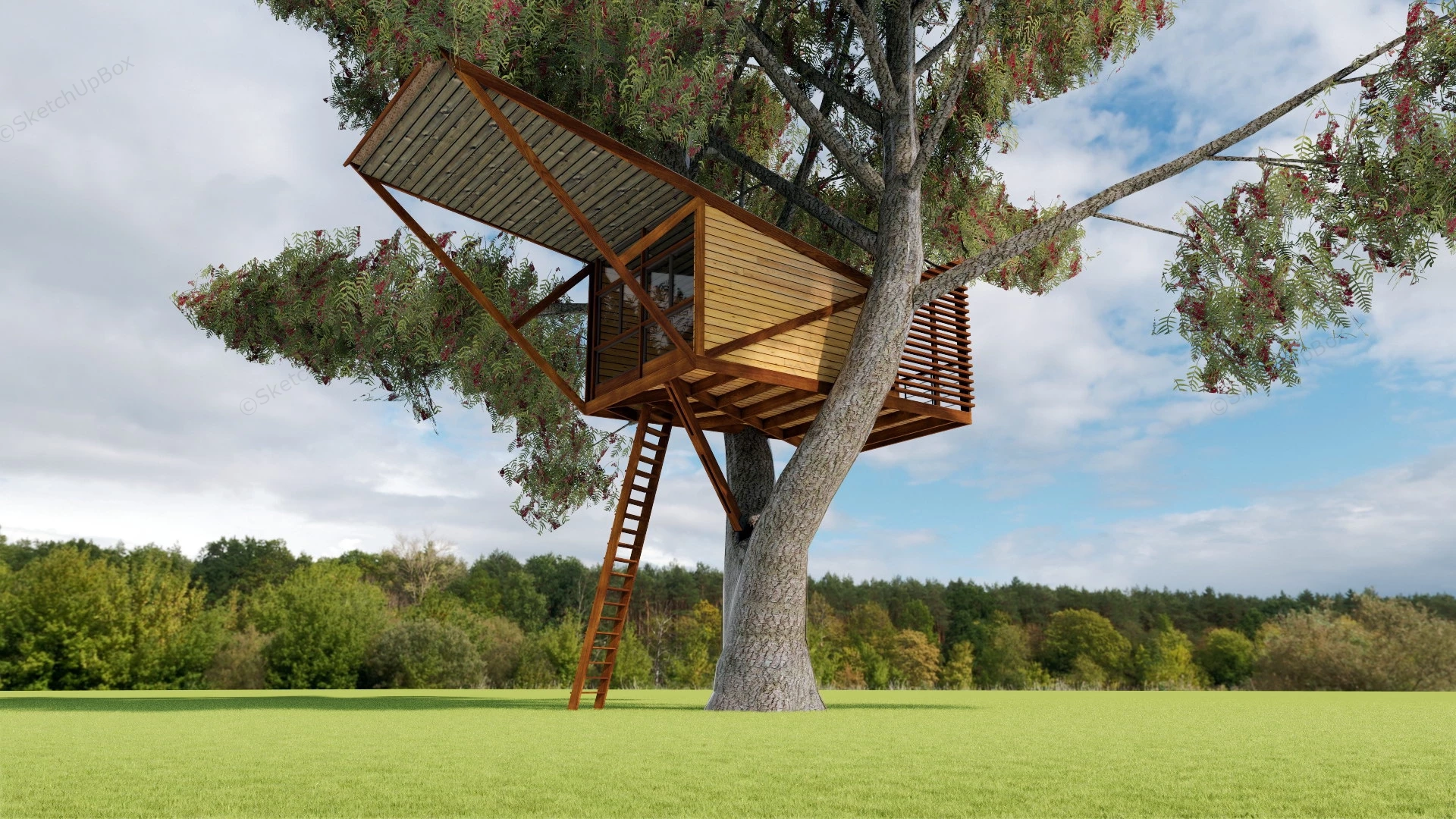 Single Tree Treehouse sketchup model preview - SketchupBox