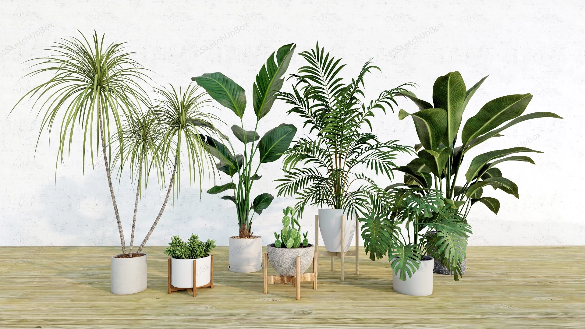 Indoor House Plants sketchup model preview - SketchupBox