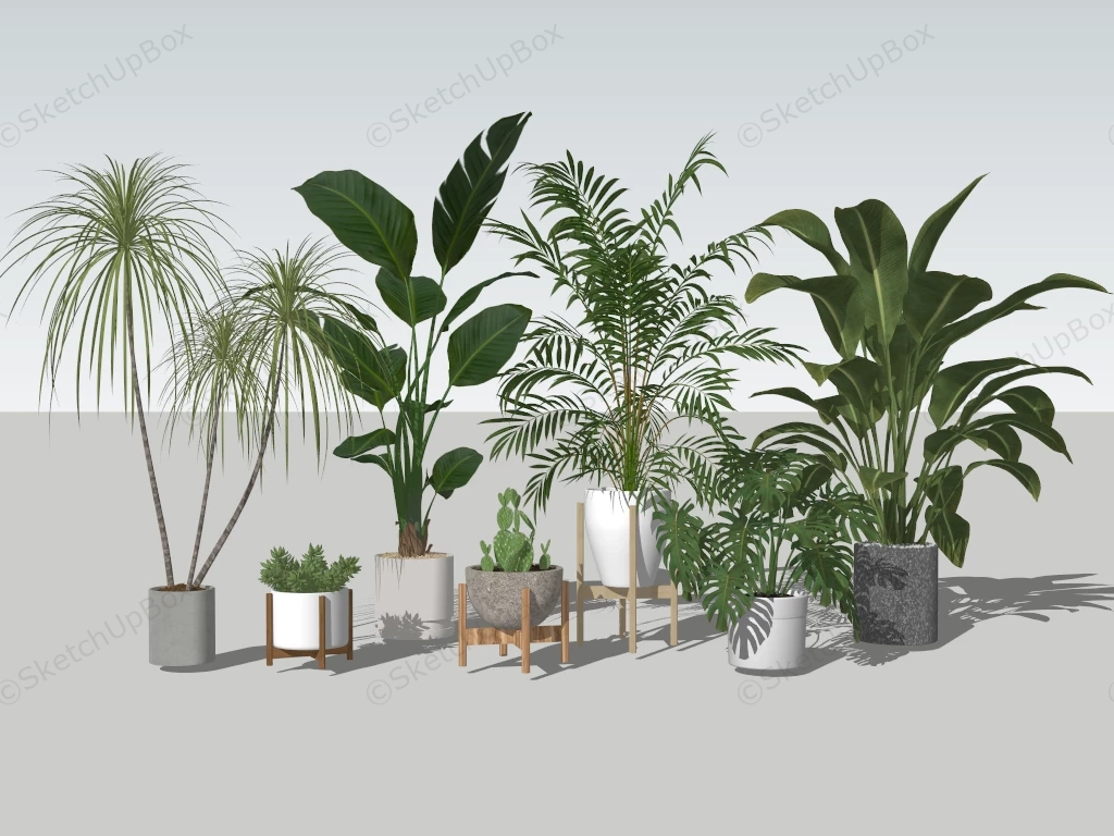 Indoor House Plants sketchup model preview - SketchupBox