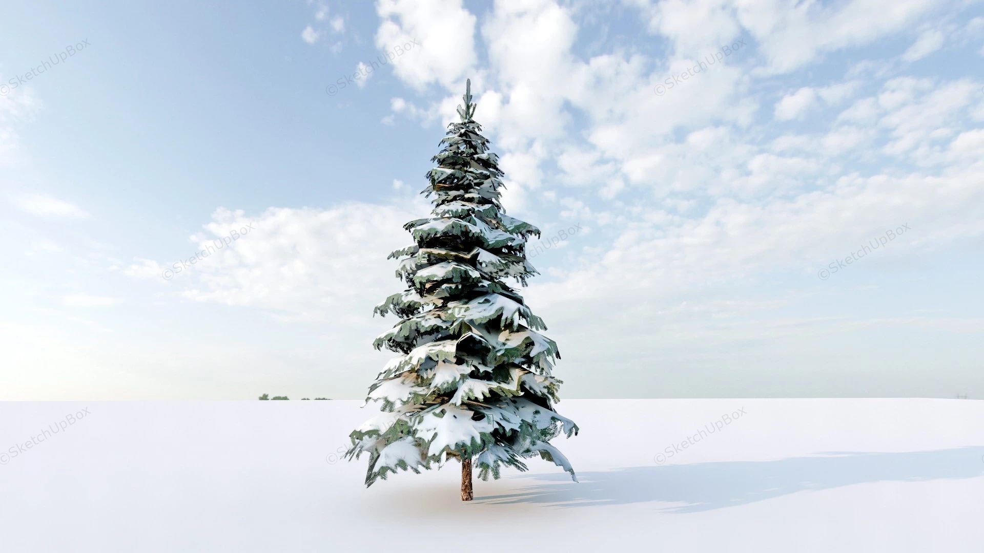 Snow Picea Spruce Tree sketchup model preview - SketchupBox