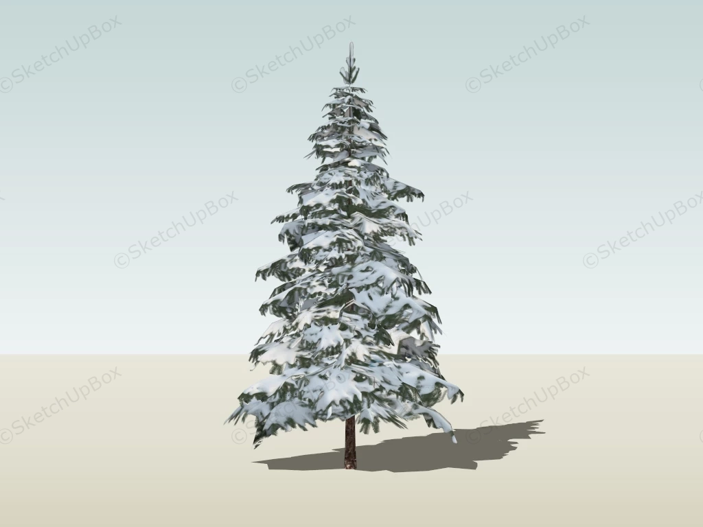 Snow Picea Spruce Tree sketchup model preview - SketchupBox