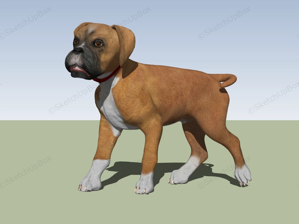 Tan Bulldog Puppy sketchup model preview - SketchupBox