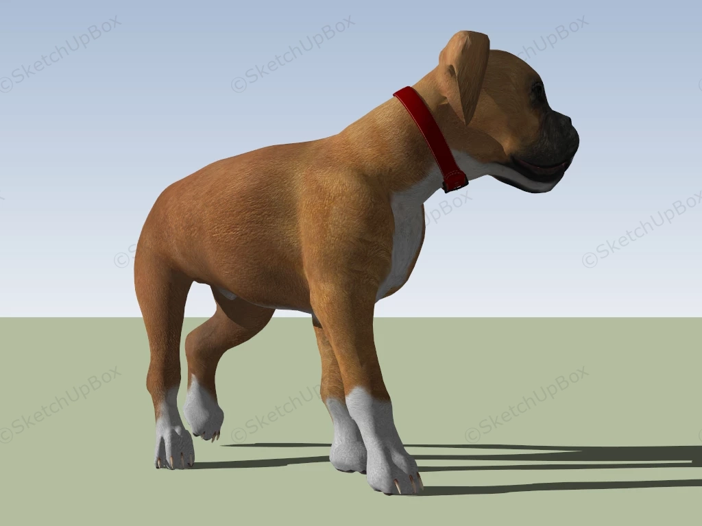 Tan Bulldog Puppy sketchup model preview - SketchupBox